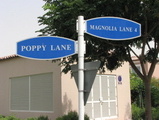 "poppy lane"